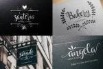 Hollyn Script