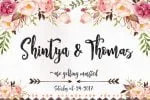 Holyhand Script Font