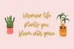 Honey Jones Font