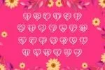 Honey Monogram Font