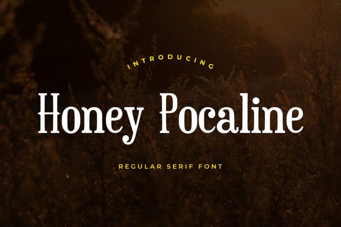 Honey Pocaline Serif Font