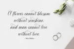Honeylove Font