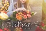 Hope Font