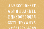 Horseshoes & Lemonade Font