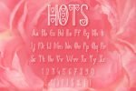 Hots Font