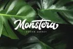 Houstander Font