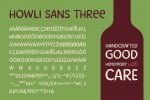 Howli Sans Three & Fun Script