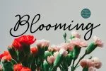 Huh! Girls Script Font