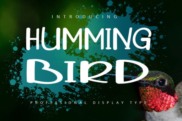 Humming Bird Font