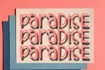 Humming Bird Font