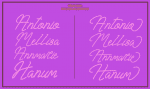 Huntsel Script Font