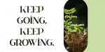 Huova Font Family