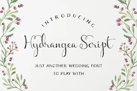 Hydrangea Script