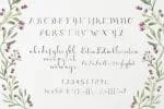 Hydrangea Script
