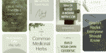 Hydrella Font