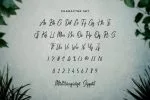 Hydrilla Font