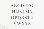 Hyogo A Modern Serif Font Family