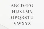 Hyogo A Modern Serif Font Family