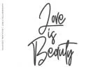 Hypoluxes Handwritten Signature Brush Typeface