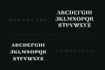 Findel Display Font
