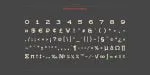 Ikra Slab Font