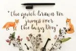 Ilana Bloom Font