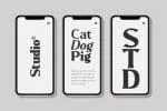 Improvie Font