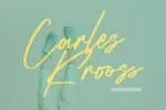 Infamous Rush - Signature Script Font