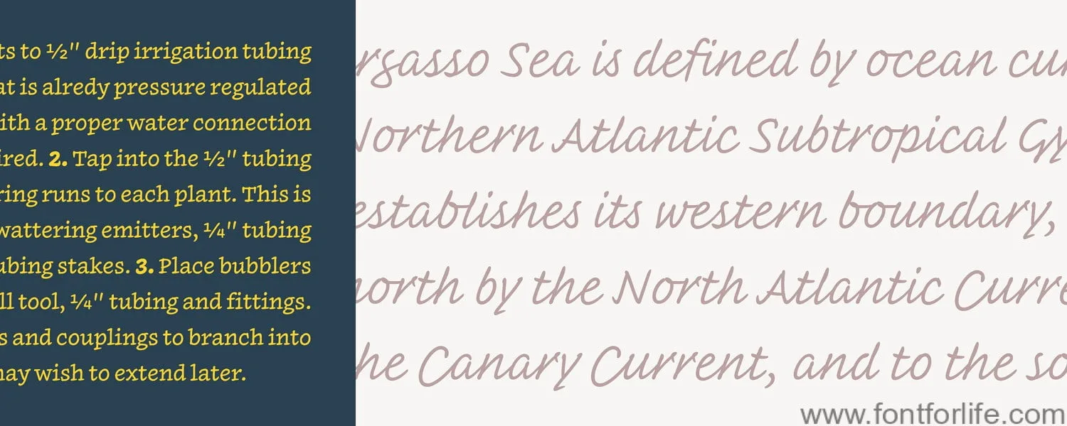Inkwell Font Family