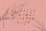 Inola Handlettered Font
