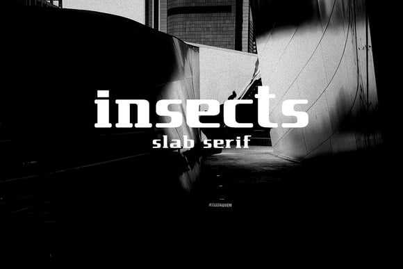 Insect Slab Serif Font