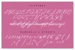 Instance Script Font