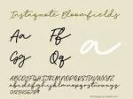Instaquote Font Family