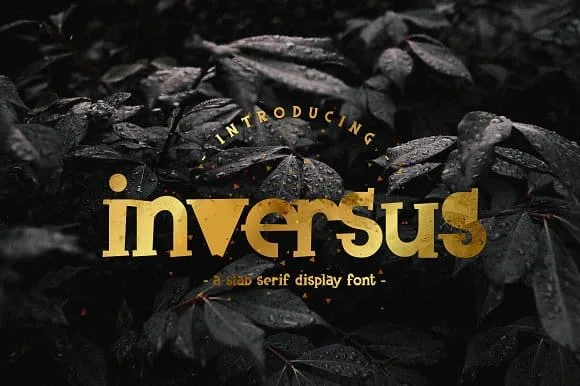 Inversus Font