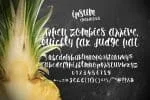Ipsum Script Font
