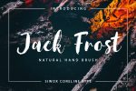 Jack Frost Brush