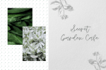 Jacque Font