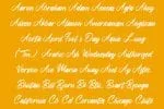 Jakarta Night Font