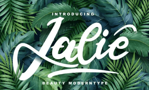 Jalie Beauty Moderntype Font