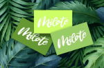 Jalie Beauty Moderntype Font