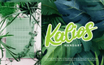 Jalie Beauty Moderntype Font