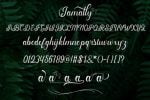 Jamally Font