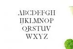 Janecia Font