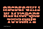 Janger Display Font