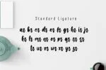 Jartails - Modern Calligraphy Font