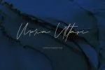 Jarvitts Signature Font