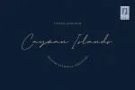 Jarvitts Signature Font