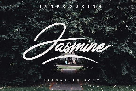 Jasmine Script Font