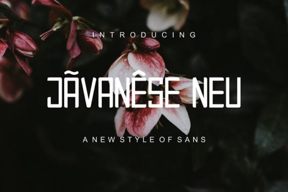 Javanese Neu Font