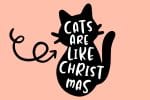 Jealous Kitty Font Family